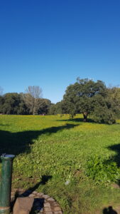 Underbar natur