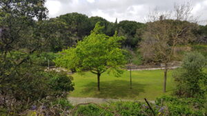 Park