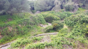 Park Almada